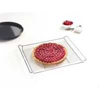 Grilaj de copt și fript original Miele HBBR 71