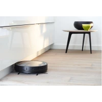 Side brushes