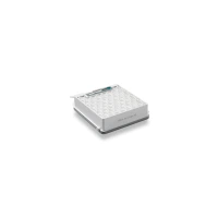 Filtru HEPA AirClean cu TimeStrip® SF-HA 60