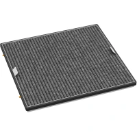Filtru AirClean cu cărbune activ DKF 25-P