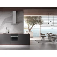 Hota Cu Montare Pe Perete Daw 1620 Active Otel Inoxidabil